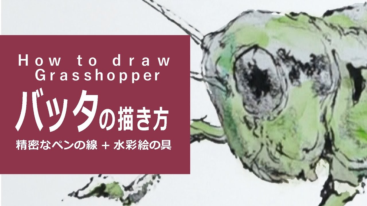 ペンと水彩絵具のイラスト 描き方 絵の上達 バッタ How To Draw Grasshopper Youtube