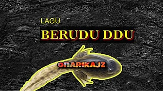 Onarikajz - Berudu Ddu #Haiwan4Barjs Onarikajz - Berudu Ddu #Haiwan4Barjs