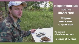 Подорожник против иван-чая.  Жарим лисички с дикими травами.