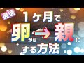 メダカの卵から最短で親魚にする方法・育て方☆今回は重要です(PSBとかじゃない）