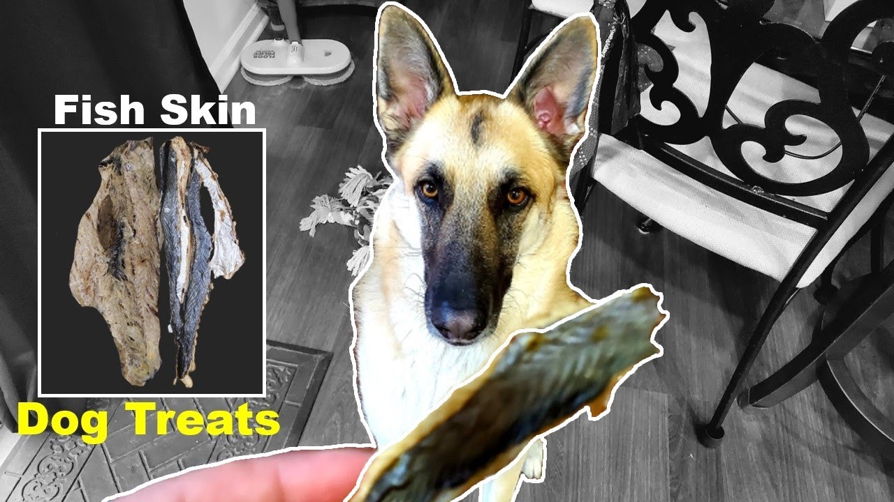 Making Crispy Fish Skin Dog Treats (Super Easy - No More Waste!) 