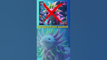 Italian Brainrot Dragonfruti Axuluti Literal Vs Reality Compound Words