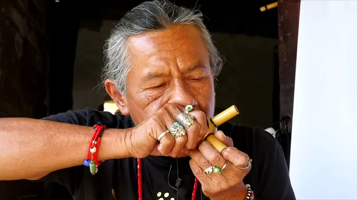 Cientos de Cantos de pjaros salen de un pedazo de ...