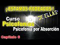 🎧 La PSICOFONÍA por ABSORCIÓN - Estamos Rodeados - CURSO de Psicofonías Cap. #6 - Pedro Amorós