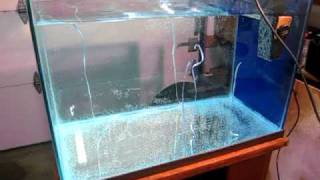 Tunze Nano Wave Box on 3' x 2' x 2' Tank running at 12v (min power setting)
