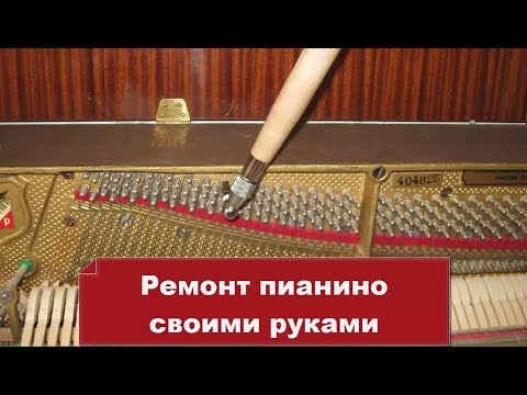 Настройщик Стаж работы 25 лет. Ремонт пианино своими руками