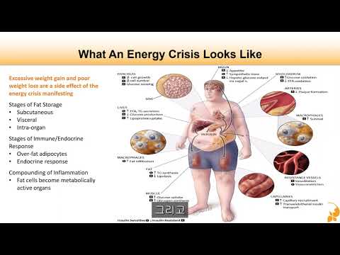 건강한 삶을 살기 위한 여행의 시작