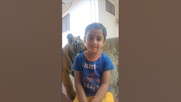 A boy with tigers❤️😀 #tiger #art #illustration