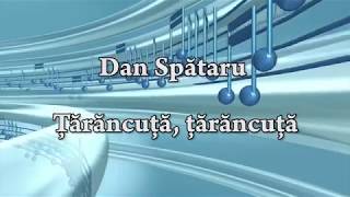 Video thumbnail of "Dan Spătaru - Tarancuta, tarancuta (versuri, lyrics, karaoke)"