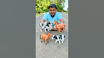 2 Ta Rc koe & 2 Ta paard uitpakken 😱🔥