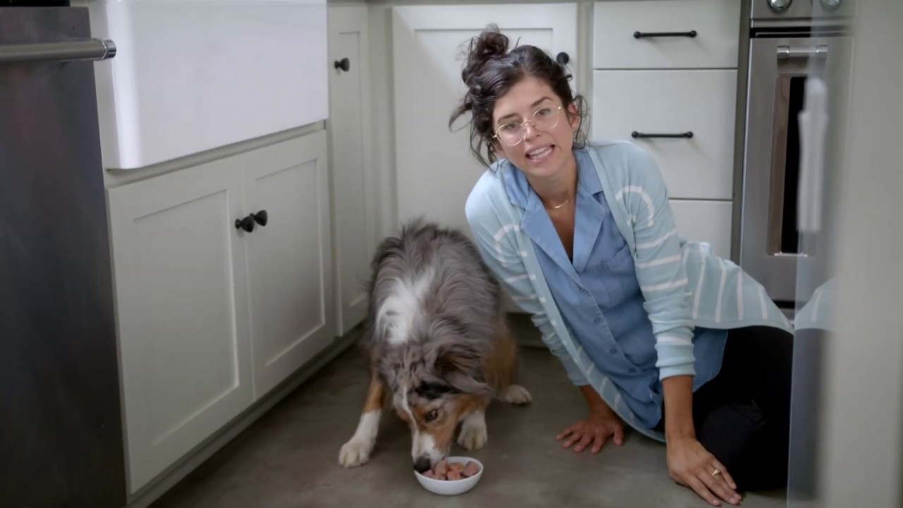 Serving Freshpet is Easier Than... YouTube