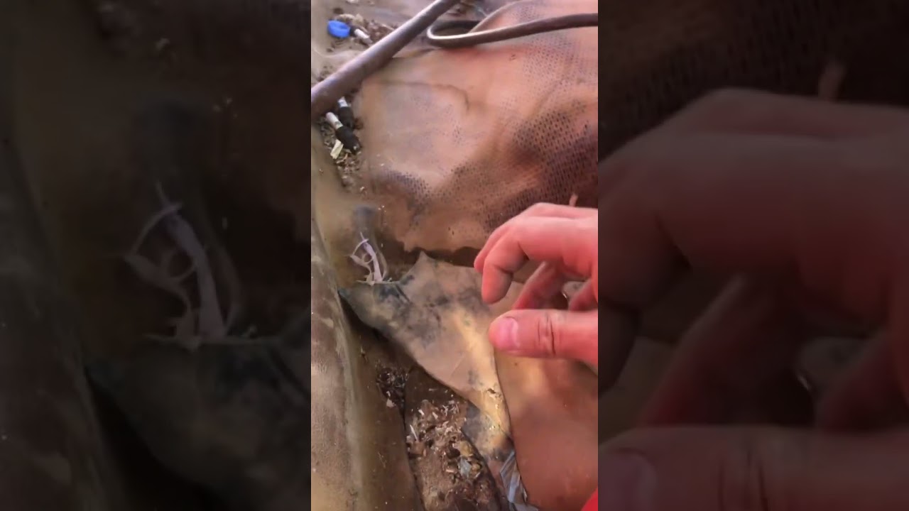 #فلوق تجديد جمس ٧٧#جمس #الحلقه 4 الورشه وقطع الغيار والترميل#كلاسيك #فلوق