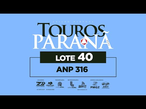 LOTE 40 ANP 316