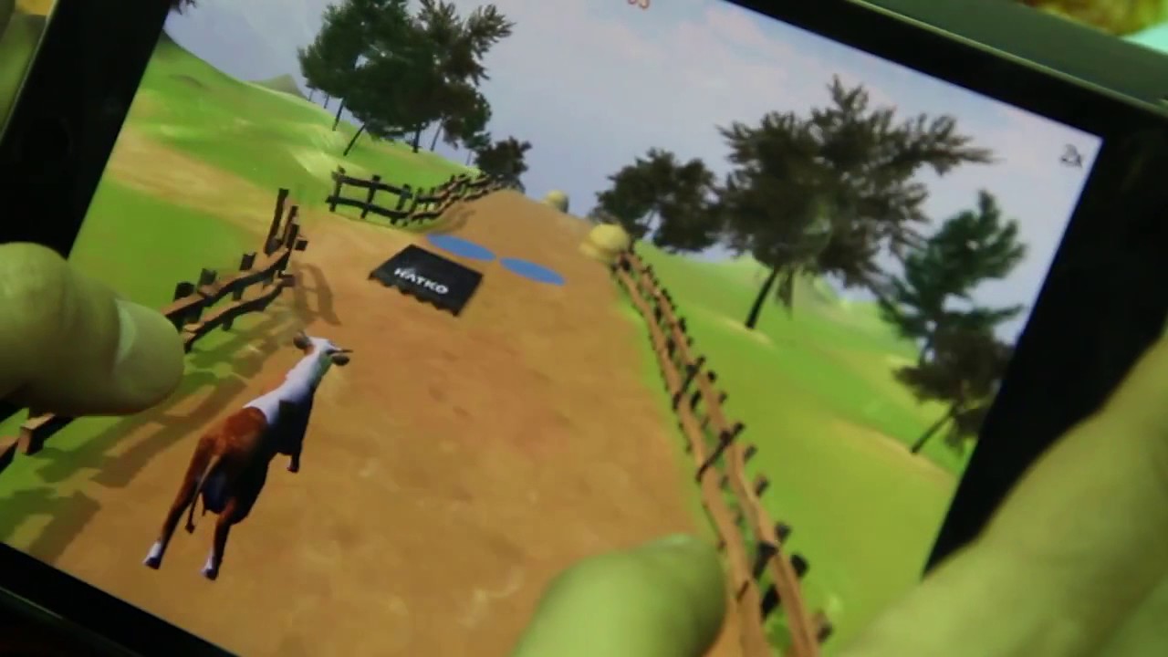 Mutlu İnekler Yarışı - AgroExpo Fuarı