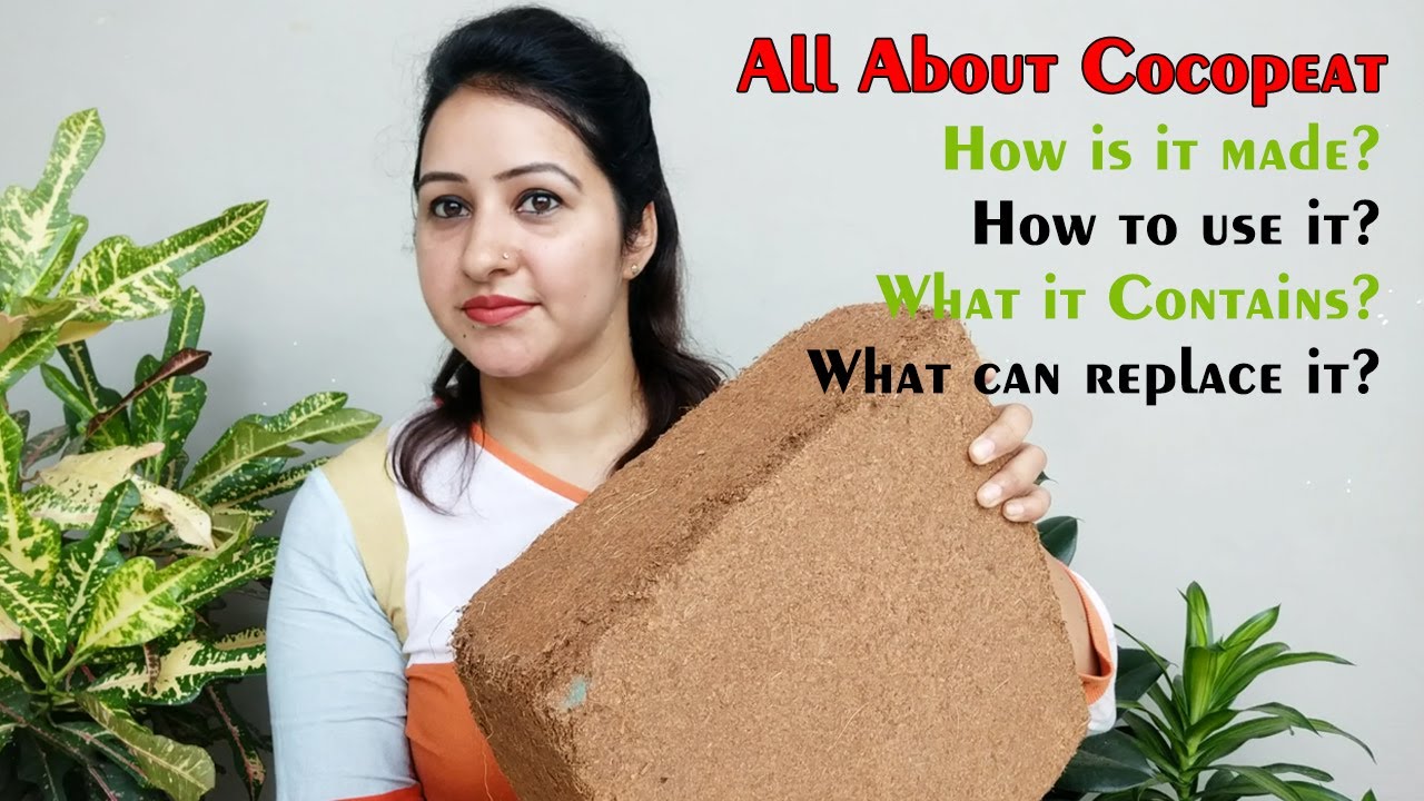 कोकोपीट के बारे में पूरी जानकारी | Benefits of Using Cocopeat in Plants | How to Use Cocopeat