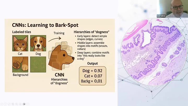 General Approach to AI in Pediatric Health Informatics