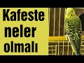 Muhabbet Kuşu Kafesinde  Neler Olmalı Kuş Sağlığı için Evde Bulunması gereken malzemeler
