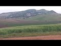 موسيقى الزمن الجميل برنامج بلادي 