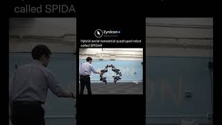 Quadruped Robot SPIDAR: Aerial-Terrestrial Hybrid Machine #Shorts