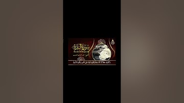 تلاوة عطرة لما تيسر من سورة البقرة للشيخ عبد الرحمن