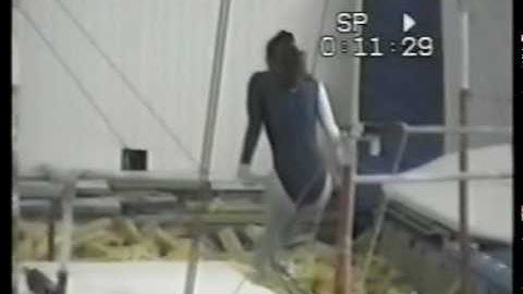 Uneven bars. Code of Points. Groop A