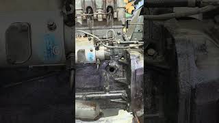 Download Lagu Waarom alles er zwart uitziet #bundybearsshed #crcindustriesau MP3