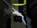 tetap berusaha selagi ada #motivasilucu#pencarirezeki#shortvideo#likeandsubscribe#youtubeshorts