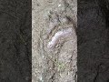 Ергаки. Водопад Мраморный #ергаки