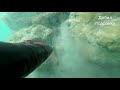 Подводная охота на кефаль в мутной воде.Каспийское море.(49 гряда) #Актау #Шагала