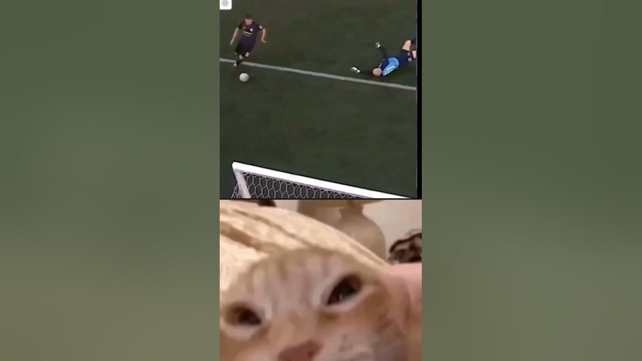 football fails #football #funny #fifa #cat #funnyvideo #funnycats - YouTube