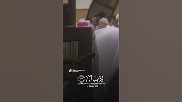 ما تيسر من سورة النبأ بصوت الشيخ ياسر الدوسري 🤍