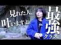 ⚠️最強クラスの波動⚠️本気で願いを叶えたい人だけ見て下さい #空海 #お遍路