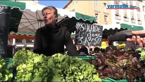 les salades de Jeannine : les platanes du cours La...