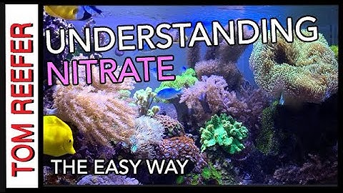 Nitrate In Your Reef Tank? (DON