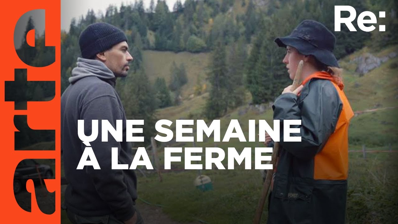 Suisse : des citadins bénévoles dans les alpages | ARTE Regards