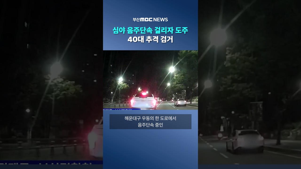 심야 음주단속 걸리자 도주한 40대 현장 검거