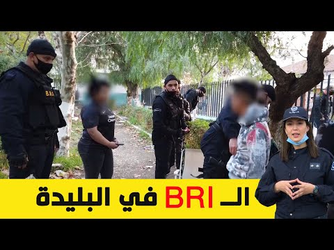 عصابات الأحياء في البليدة