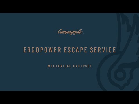 Campagnolo Ergopower Escape - Complete overhaul cycling vector