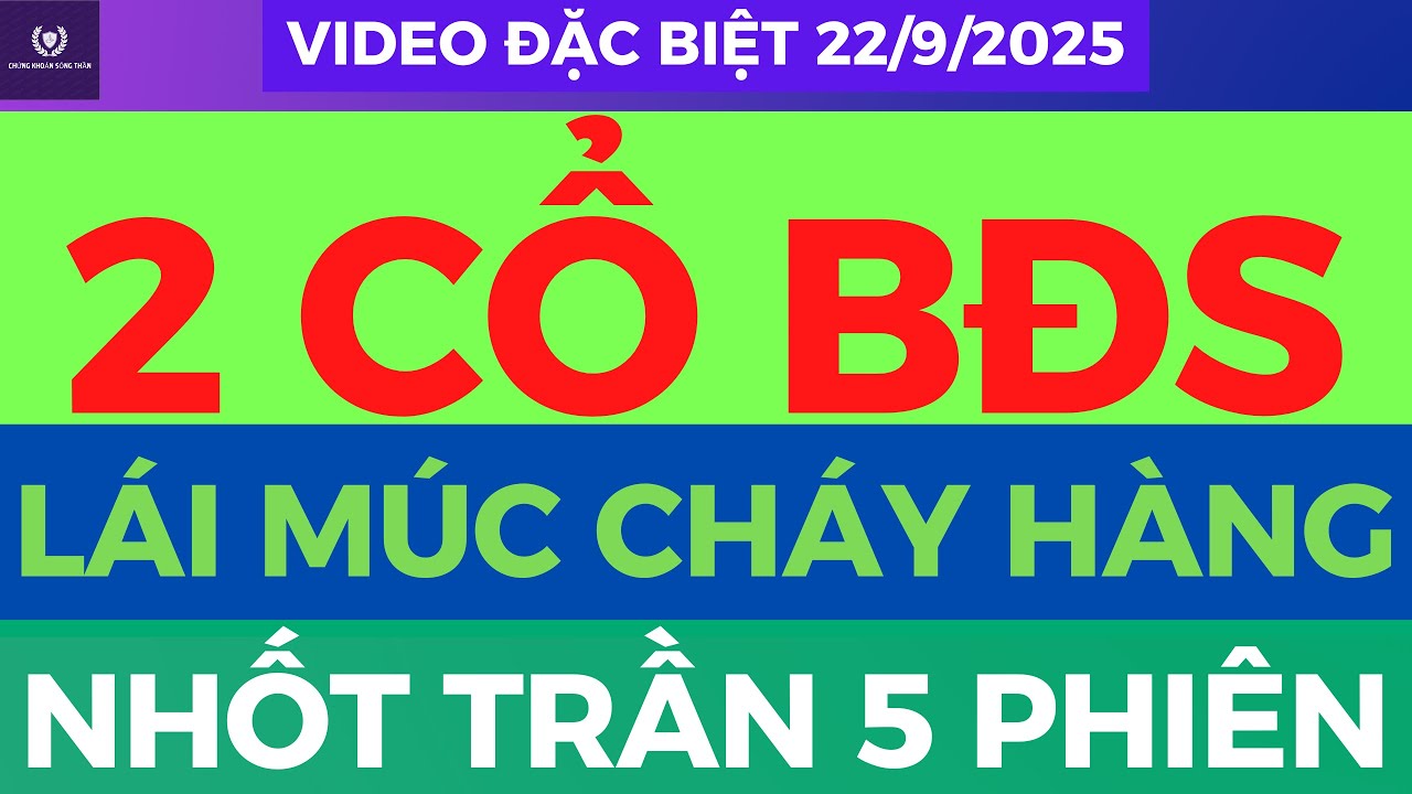 ✂️ - 3 siêu phẩm đặc biệt lái full margin sẽ phi như ngựa