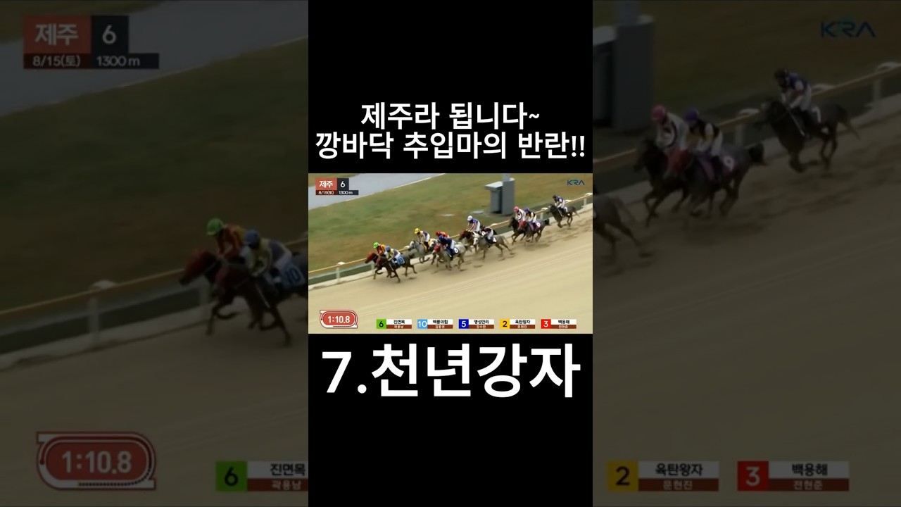 깡바닥 추입마의 반란!!  #경마  #경마예상  #경마방송  #경마예상방송  #서울경마  #금요경마  #토요경마  #일요경마 #경마장
