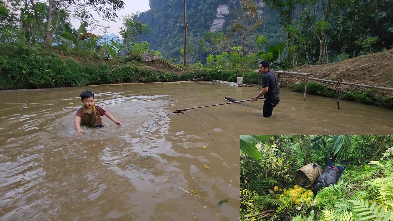 Preserving star fruit, preparing star fruit with fish, the two fathers