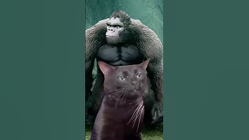 Realising you wasted £35 on a King Kong game