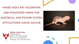 Information NAKED MOLE RAT ALGORITHM AND ENHANCED NMRA FOR ELECTRICAL AND POWER SYSTEM APPLICATIONS USING MATLAB Guide