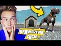 GTA V PRAWDZIWE ŻYCIE #5 KUPUJEMY PSA! 🐕