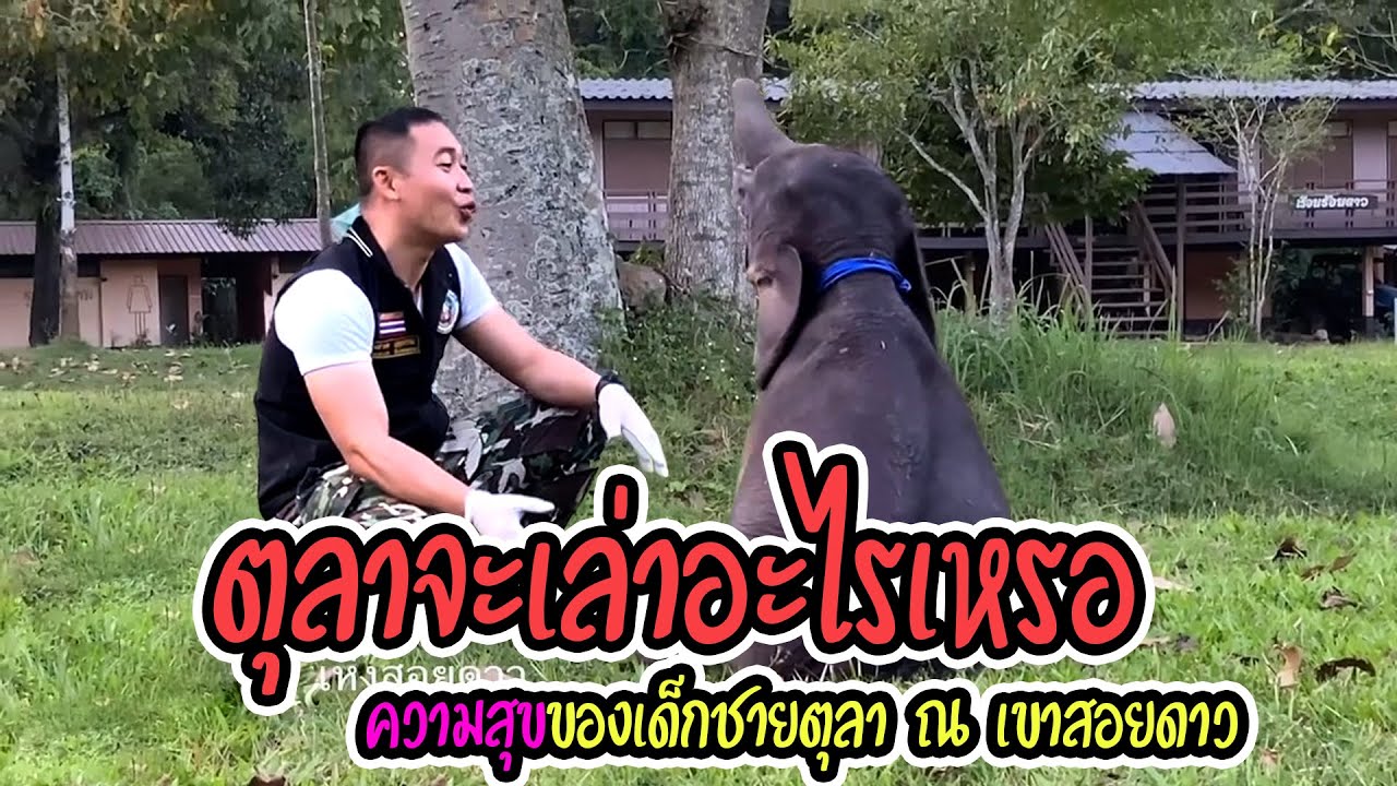 น้องตุลา : ส่องพัฒนาการเด็กชายตุลา