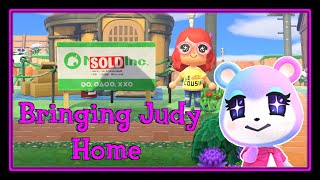 Bringing Judy To Lecosland - Animal Crossing New Horizons | Lecosanne 