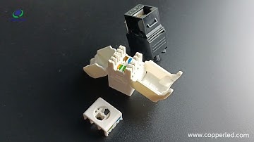 "Copperled" Model #C6A04 UTP Cat.6A RJ45 Keystone Jack 180degree Toolless Showing