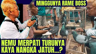 Grebeg & Review Pedagang Merpati di Pasar Curung Tangerang Banten