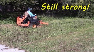 The Cheetah's Back! Cheetah Mowing Thick Grass and Weeds