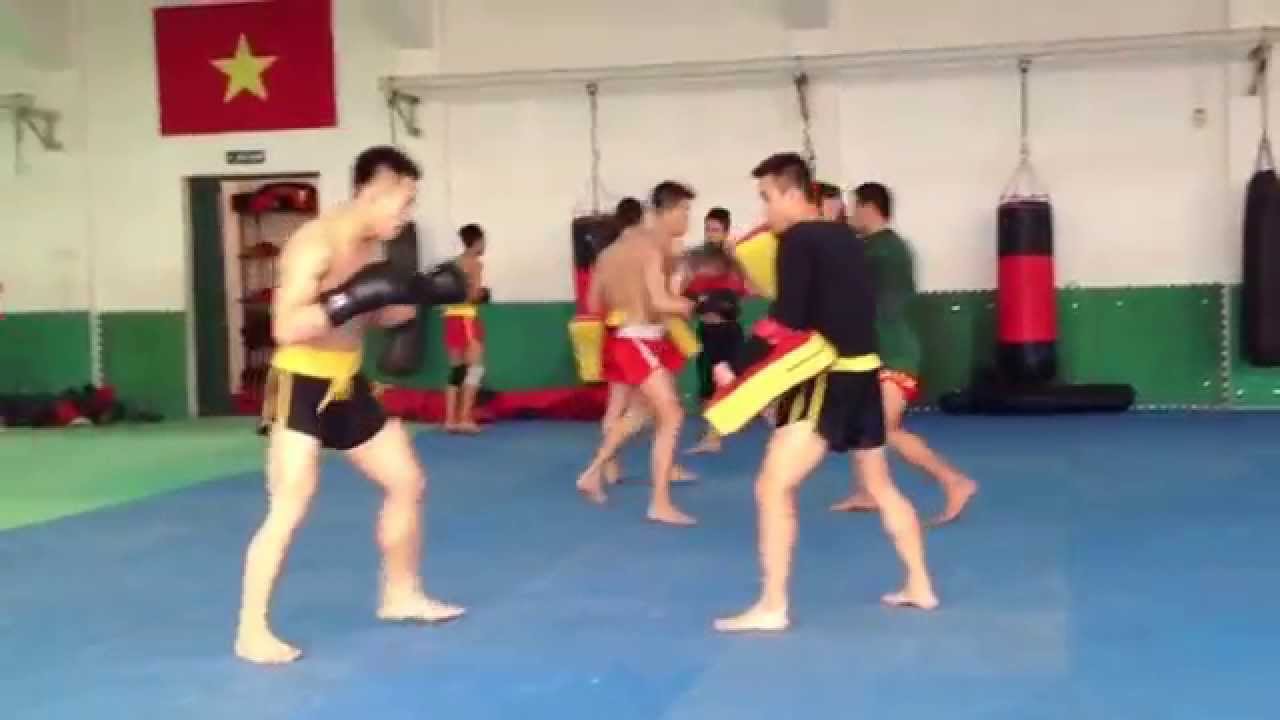 Wushu Sanshou Vietnam Training